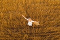 Happy woman and wheat field. Top view from drone Royalty Free Stock Photo