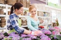 Happy women choosing flowers in greenhouse Royalty Free Stock Photo