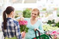 Happy women choosing flowers in greenhouse Royalty Free Stock Photo