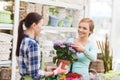 Happy women choosing flowers in greenhouse Royalty Free Stock Photo