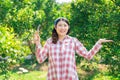 happy women in green plant tree farm harvest orange fruit. countryside asian girl working in organic agriculture farming orange Royalty Free Stock Photo