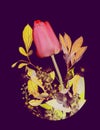 Happy women`s day banner with photo of Spring flowers bouquet of red tulip, bird-cherry tree flowers inverted, x-ray imitation