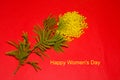 Happy women's day card with a bunch of mimosa