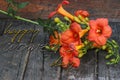 Happy Women`s Day Greeting Card with Orange Lillies Royalty Free Stock Photo