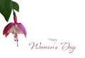 Happy Womens Day card with single fuchsia flower isolated on white