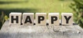 Happy word wooden cubes on a ocean background. Royalty Free Stock Photo