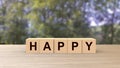 Happy word Wooden cubes on table horizontal over blur background with trees, mock up, template, banner with copy space for text, Royalty Free Stock Photo