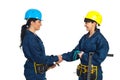 Happy workers women handshake