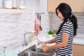 Happy working housewife washing the dish in the sink Royalty Free Stock Photo