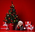 Happy xmas and New Year. Portrait of child in Santa red hat waiting for Christmas gifts. Royalty Free Stock Photo