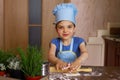 Happy 5 year old girl in casual and dressed as chef in home kitchen rolling out dough Royalty Free Stock Photo