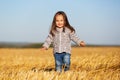 Happy 2 year old girl walking in a summer harvested field