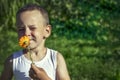 Happy 4 years old boy sniffing a flower on a green field Royalty Free Stock Photo