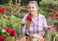 young woman with long curly hair smells roses flower outdoor