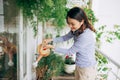 Happy Young Asian Woman housewife Watering flowers On Balcony Royalty Free Stock Photo