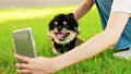 Happy young asian woman sitting on grass and photo selfie in the park with her dog Royalty Free Stock Photo