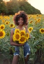 Happy young black woman walks in the sunflower field. Smiling dark-skinned girl with with a bouquet of sunflowers and Royalty Free Stock Photo