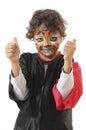 Happy young boy with his face painted like a tiger Royalty Free Stock Photo