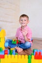 Happy young boy playing with his building blocks Royalty Free Stock Photo