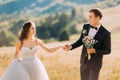 Happy young bride and groom walking holding hands at the hills Royalty Free Stock Photo