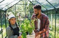 Happy young brother with small sister working outdoors in backyard, gardening and greenhouse concept. Royalty Free Stock Photo