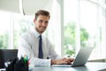 Happy young businessman using laptop at his office desk Royalty Free Stock Photo