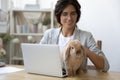 Happy woman work on laptop playing with domesticated rabbit Royalty Free Stock Photo