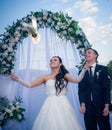 Happy young couple just married Royalty Free Stock Photo