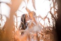 Happy young couple kiss in autumn corn field Royalty Free Stock Photo