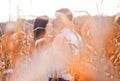 Happy young couple kiss in autumn corn field Royalty Free Stock Photo