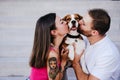 Happy young couple outdoors kissing their beagle dog. Family and lifestyle concept Royalty Free Stock Photo