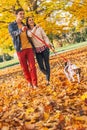 Happy young couple with two cute dogs walking in park Royalty Free Stock Photo