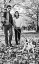 Happy couple walking outdoors in autumn park with dogs Royalty Free Stock Photo