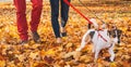 Happy couple walking outdoors in autumn park with dogs Royalty Free Stock Photo