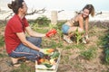 Happy young couple working together harvesting fresh fruits and vegetables in farm garden house Royalty Free Stock Photo