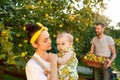 The happy young family during picking apples in a garden outdoors Royalty Free Stock Photo