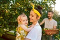 The happy young family during picking apples in a garden outdoors Royalty Free Stock Photo