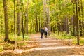 Happy young family with their daughter spending time outdoor in the autumn park Royalty Free Stock Photo