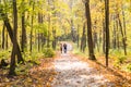 Happy young family with their daughter spending time outdoor in the autumn park. Royalty Free Stock Photo