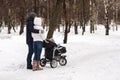 Happy young family walking in the park in winter Royalty Free Stock Photo