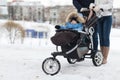 Happy young family walking in the park in winter Royalty Free Stock Photo