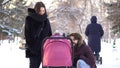 Happy, young family walking in a winter park, mom, dad and baby in stroller. Smiling parents leaning over pink stroller Royalty Free Stock Photo
