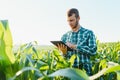 Happy young farmer or agronomist using tablet in corn field. Irrigation system in the background. Organic farming and food Royalty Free Stock Photo