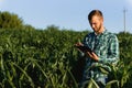 Happy young farmer or agronomist using tablet in corn field. Irrigation system in the background. Organic farming and food Royalty Free Stock Photo