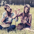 Happy young fashion girls with a fruit basket on nature Royalty Free Stock Photo