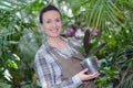 happy young florist working in greenhouse Royalty Free Stock Photo