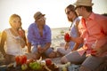 Happy young friends having picnic on beach