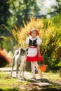 A happy young girl dressed as a fairy tale character and a Japanese Akita walk in the summer
