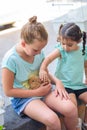 Happy young girl holding bunny rabbit. Royalty Free Stock Photo