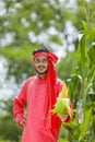 happy young Indian farmer showing corn fruit at field Royalty Free Stock Photo